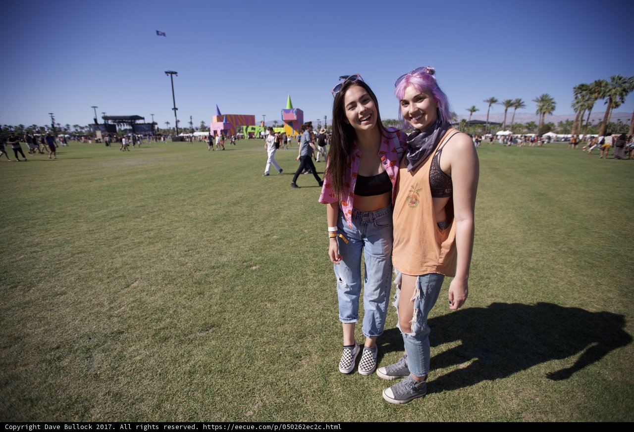 Enjoying the Music Festival in the Grass