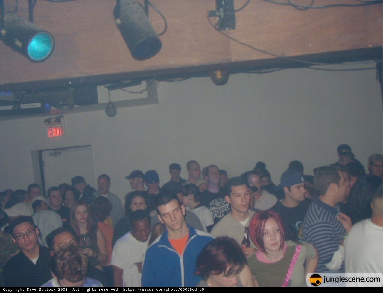Nightclub Crowd Spotlight