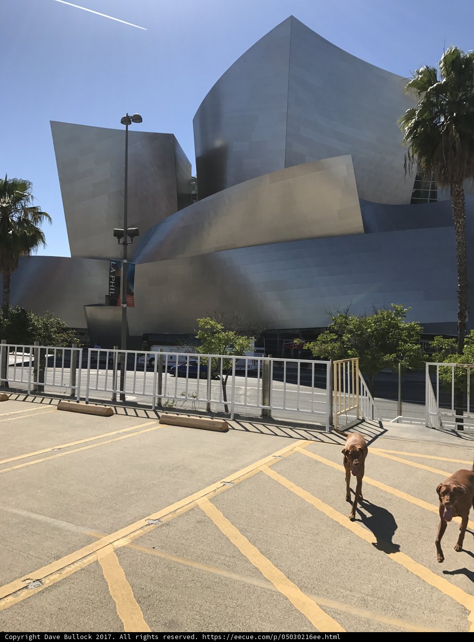 Two Dogs Take on Los Angeles