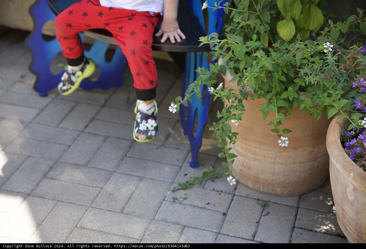 Tiny Explorer in a Garden Wonderland