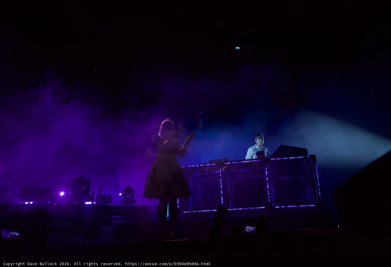 Purple Haze Performance