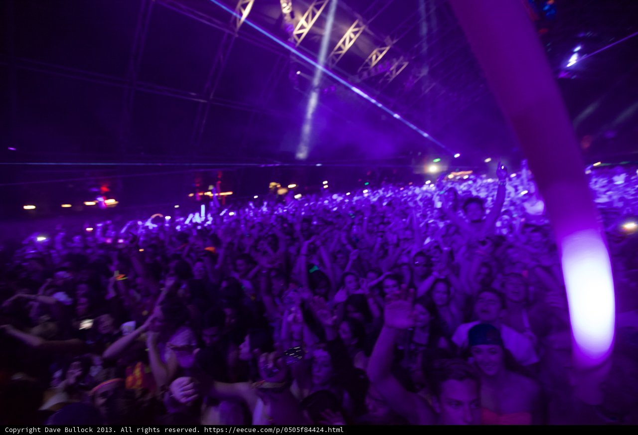 Purple Haze at Coachella