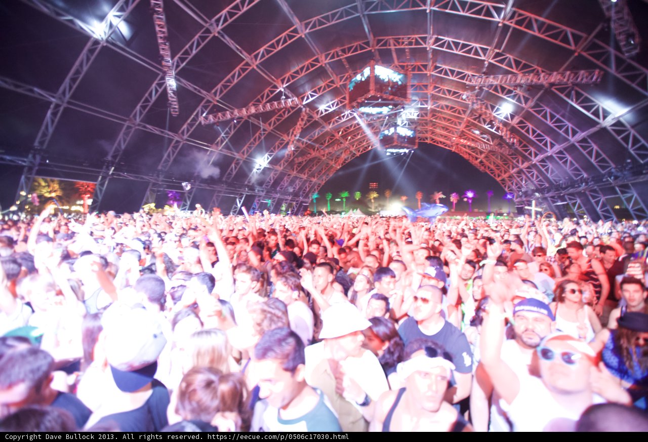 Coachella Crowd Vibes