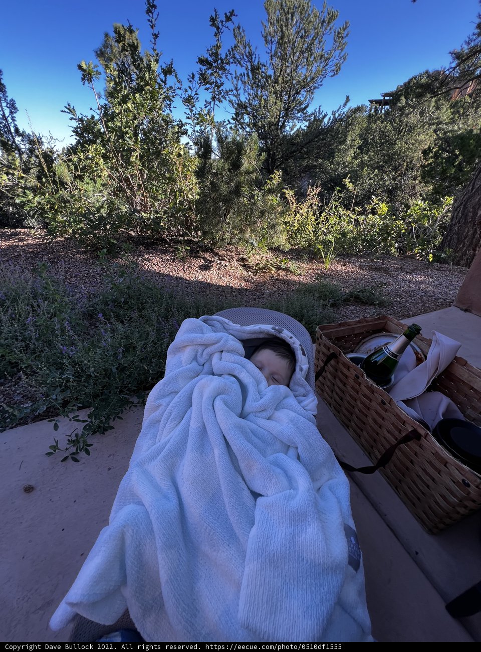 Sweet Dreams on a Sunny Day