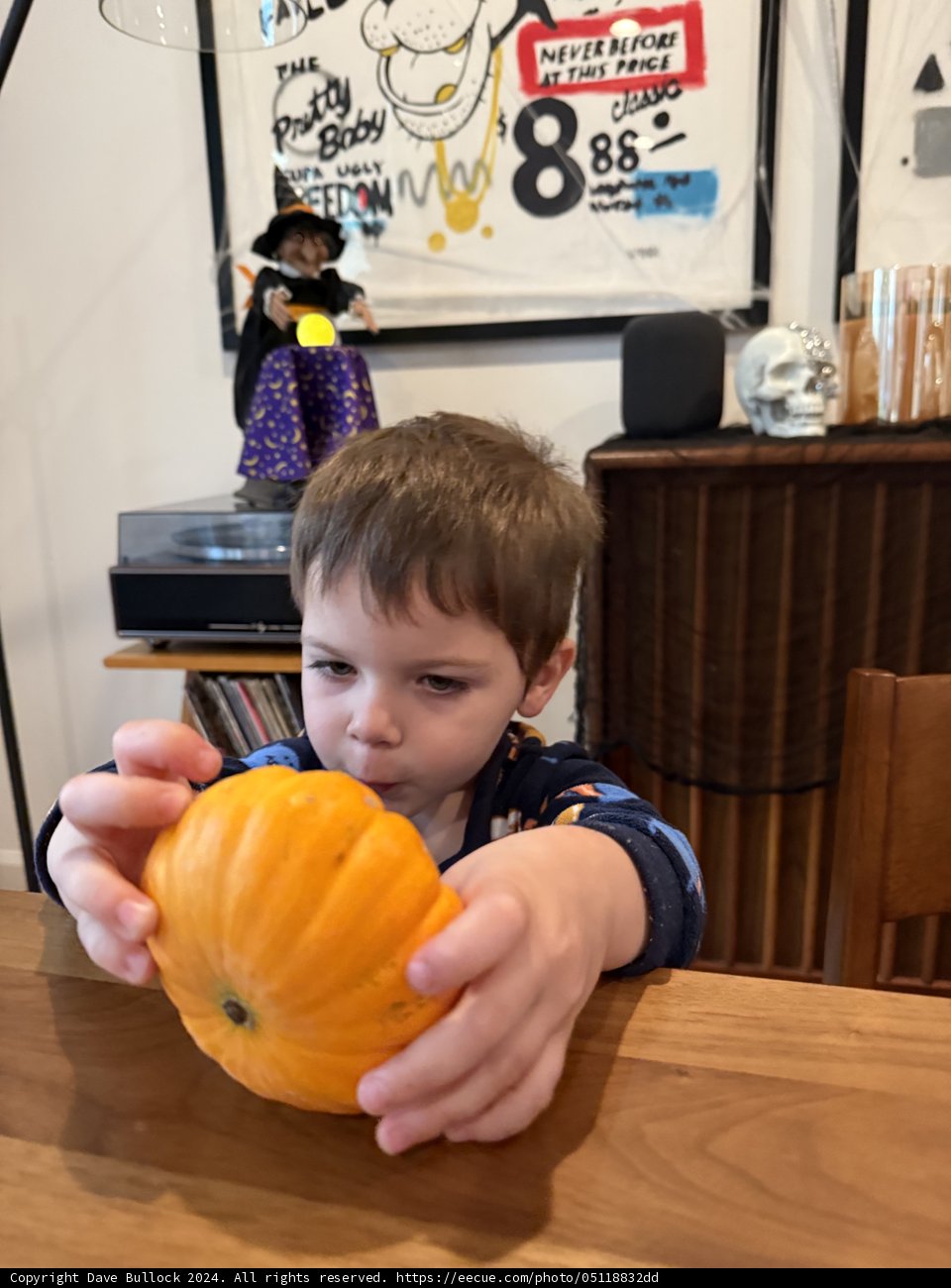 Pumpkin Wonders