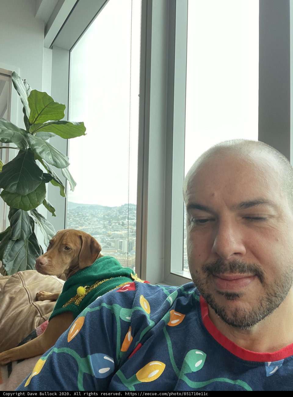 Festive Pajama Party with Pooch