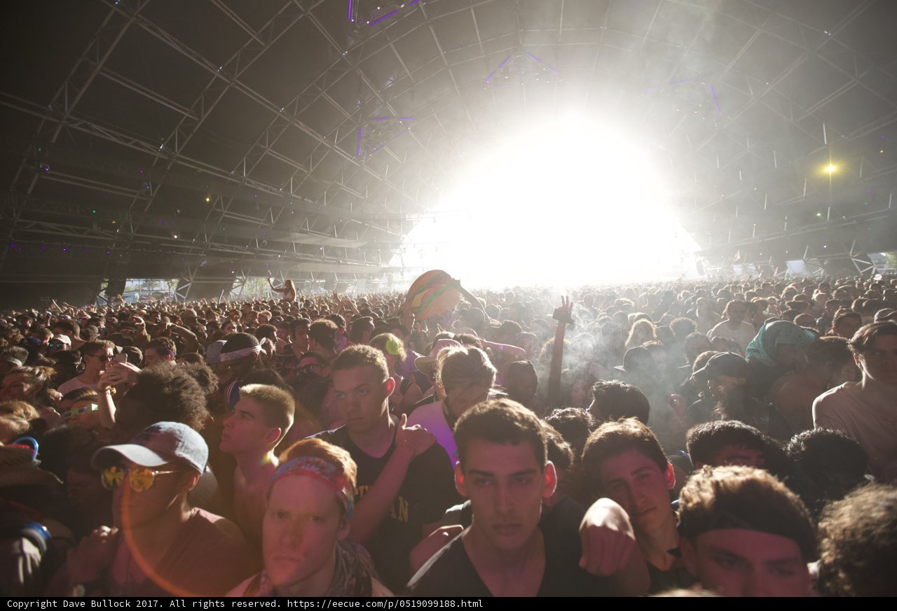 Coachella Concert Craze