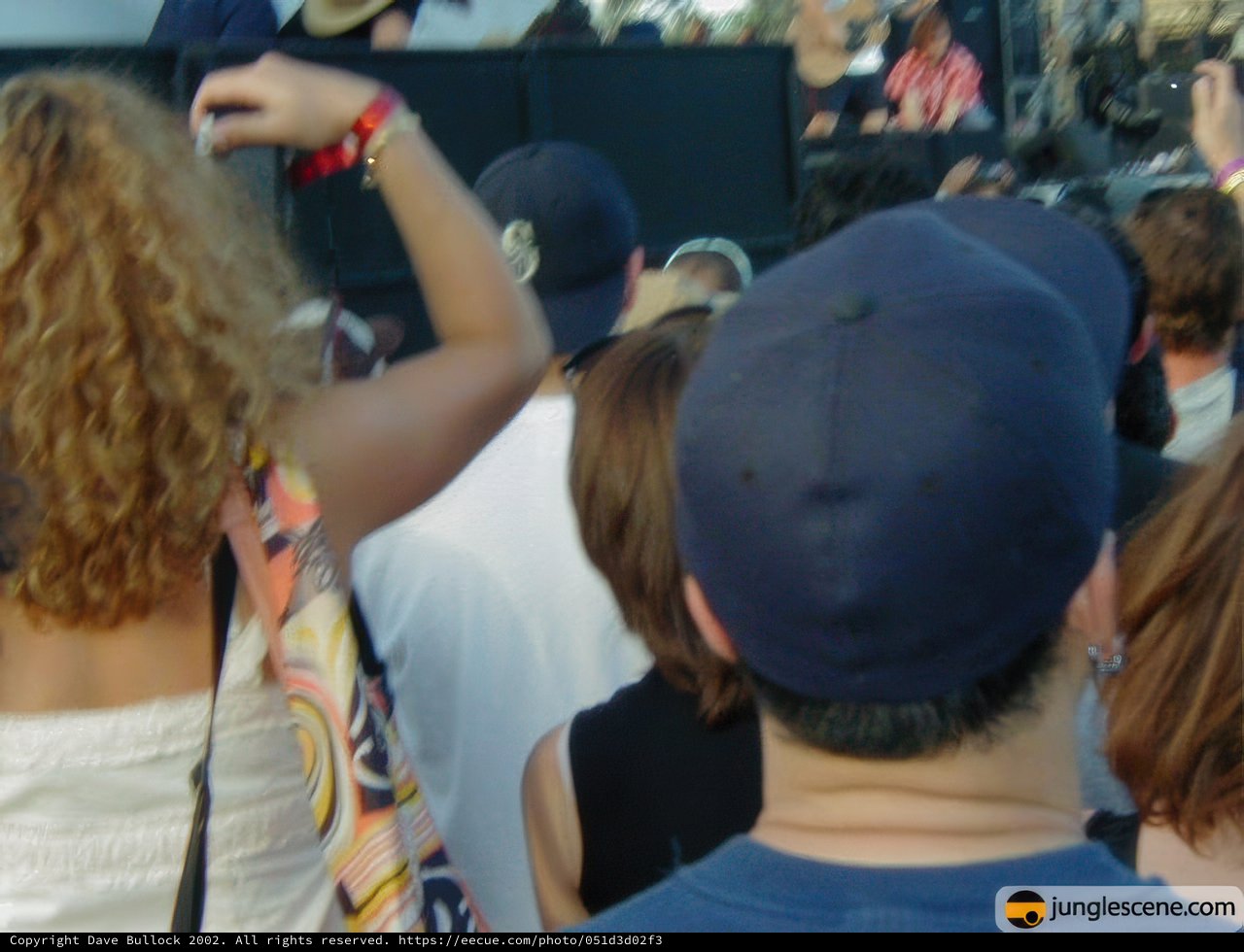 Hat in the Crowd