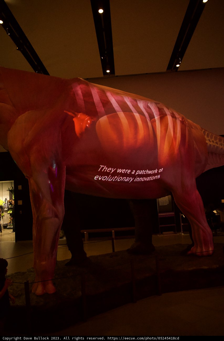 A Unique Encounter in Art: The Giant Cow Statue