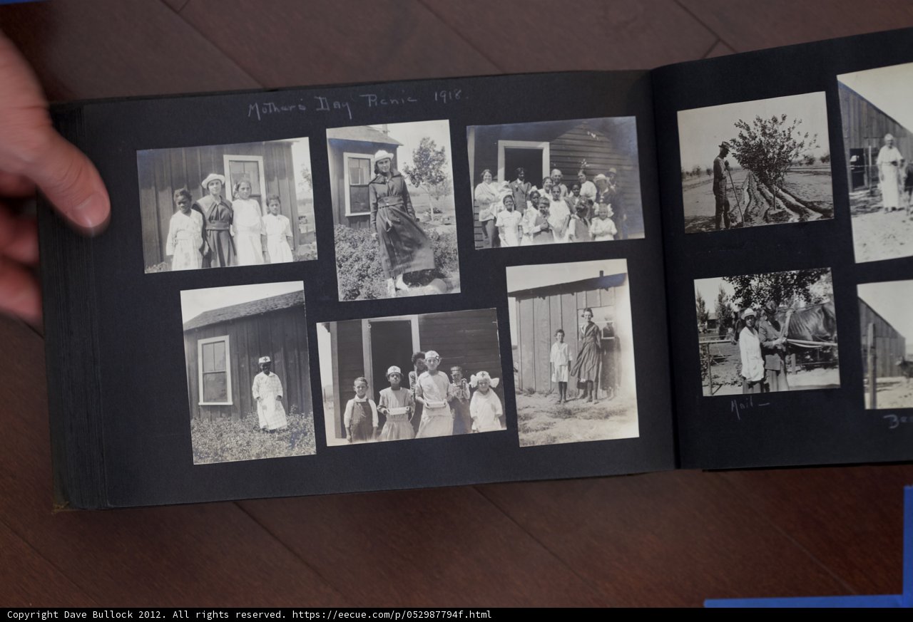 A Collage of Memories: 2012 Bullock Curtis Family Photos