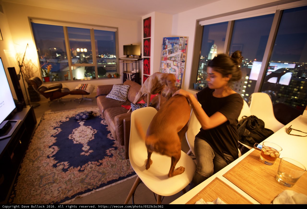 Cozy Living Room Companion
