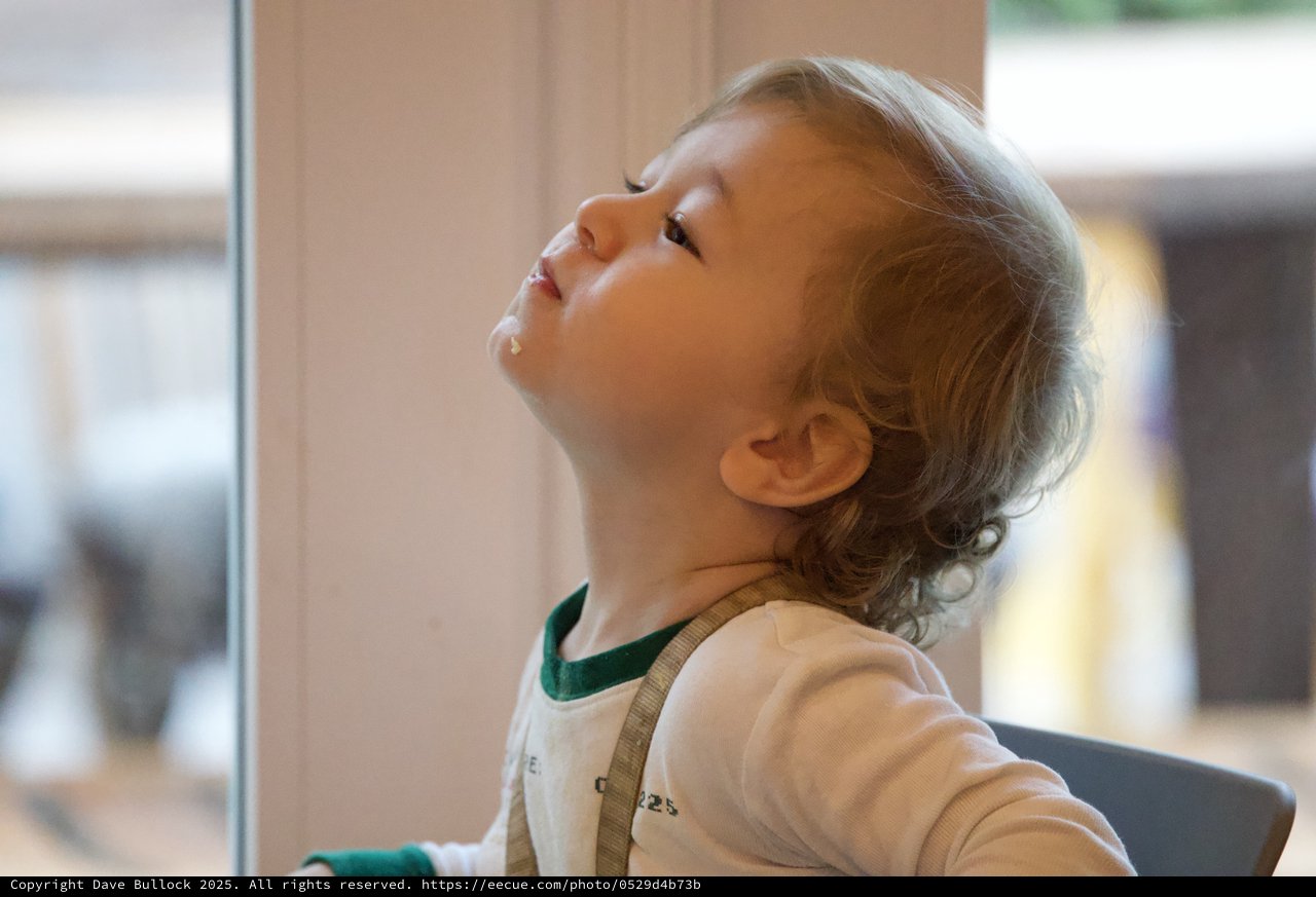 Young Child Gazing Upward in Wonder