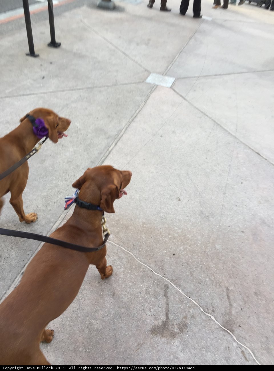 The Dynamic Duo
