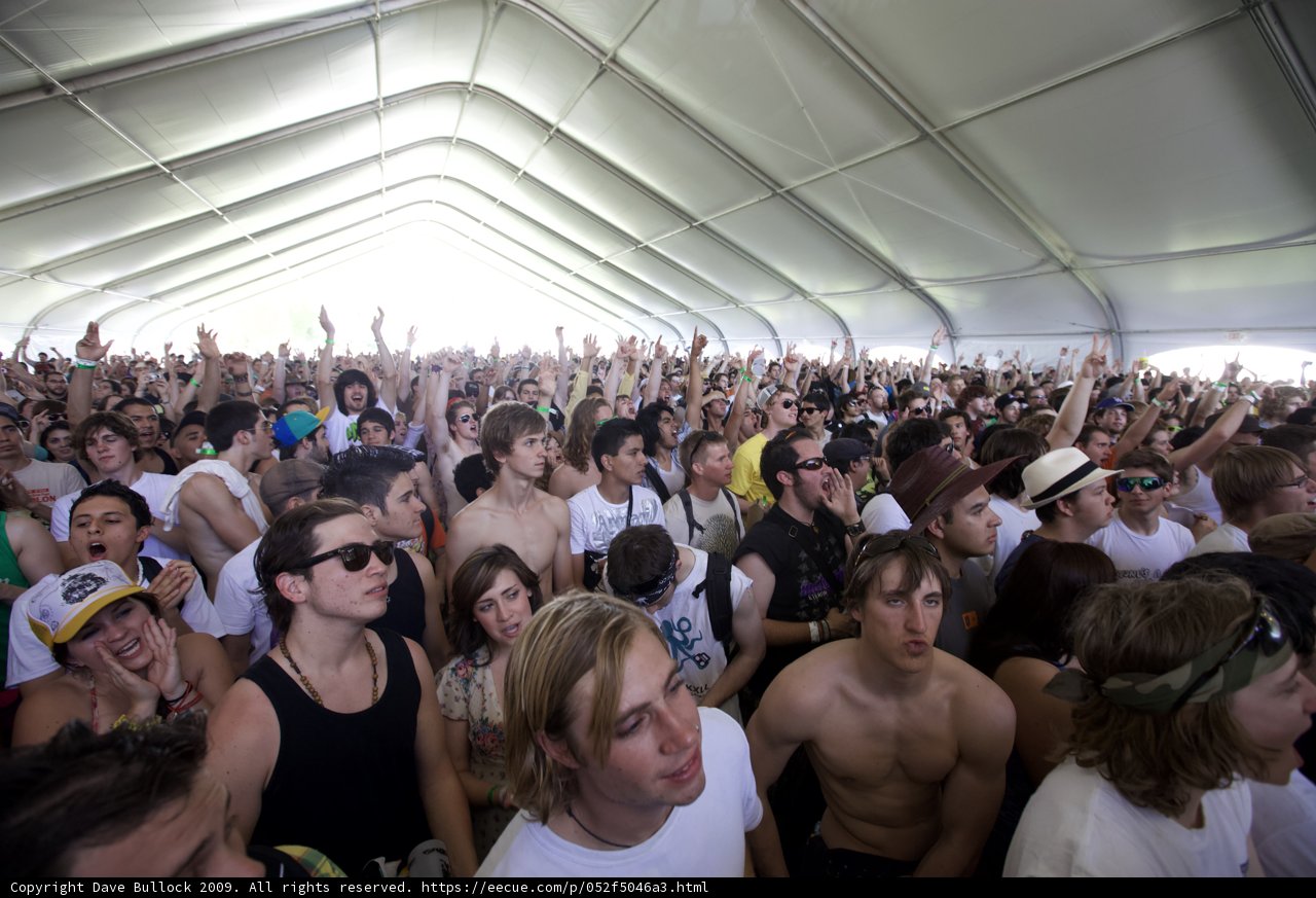 Hands Up in the Crowd