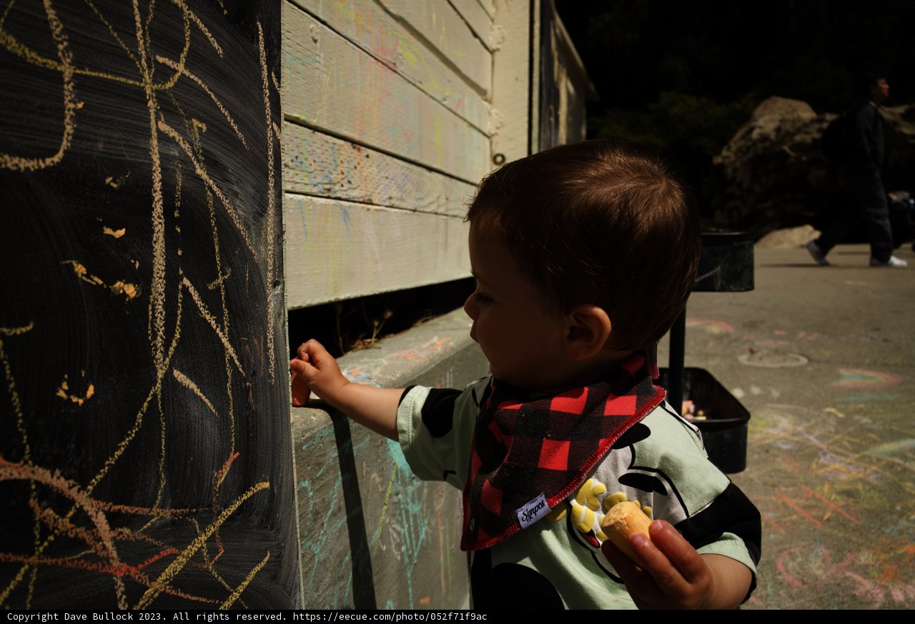 Discovery and Delight at the Museum