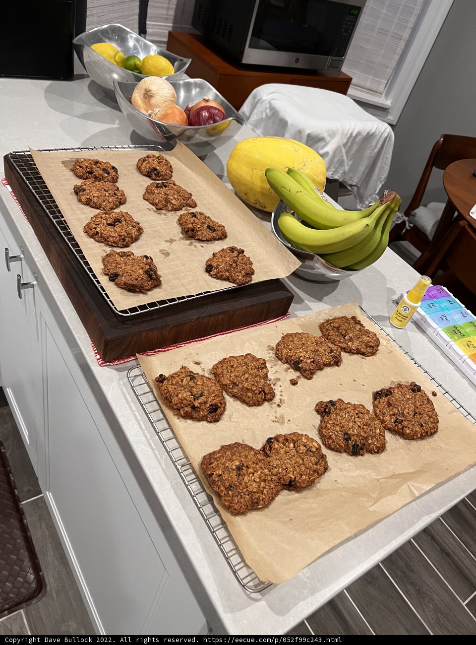 Delicious Fruit Fritters on a Kitchen Counter