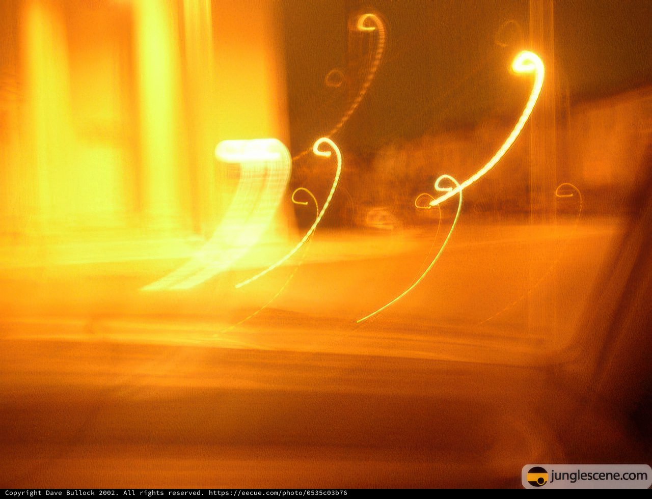 Illuminated Night Ride