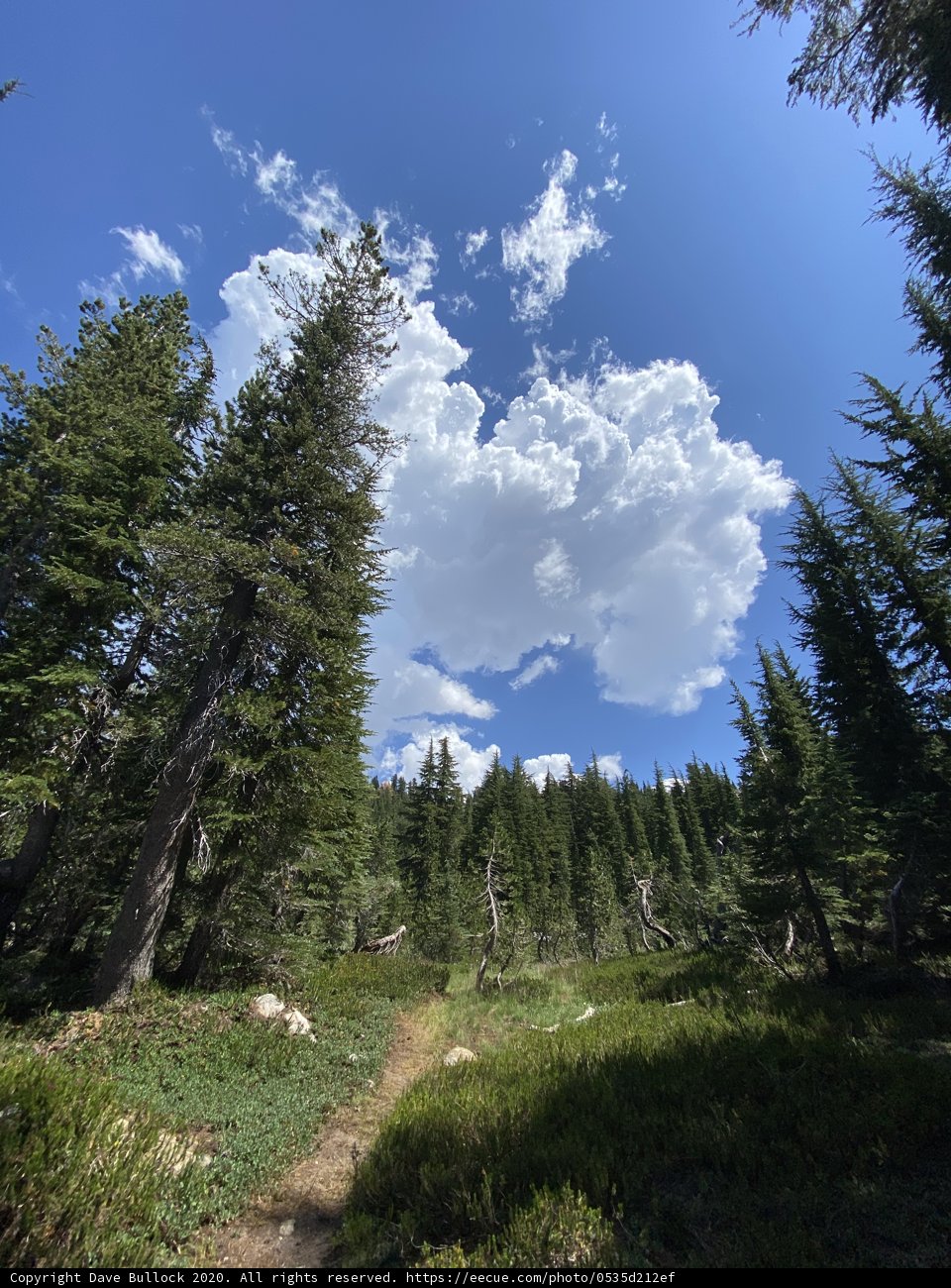 Wanderlust in the Desolation Wilderness