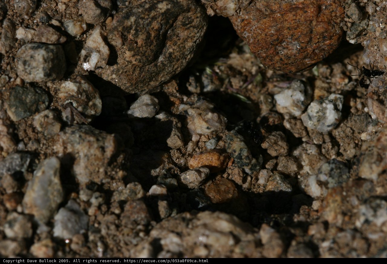 Rocky Terrain
