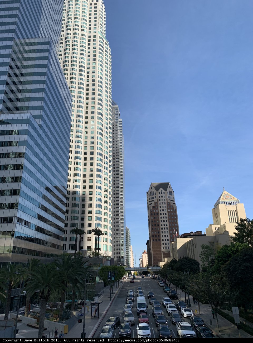 Bustling Metropolis