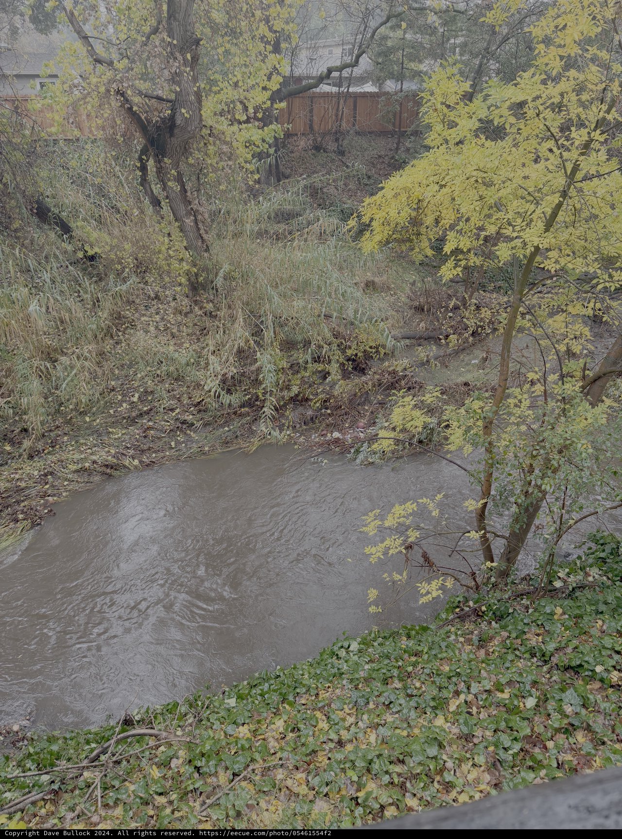 Muddy Creek Through Autumn Urban Landscape