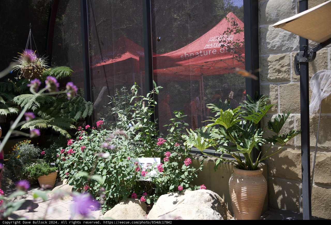 Garden Party Serenity