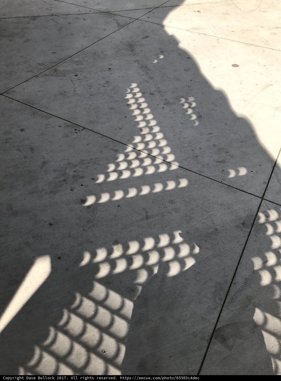 Walking in Shadow