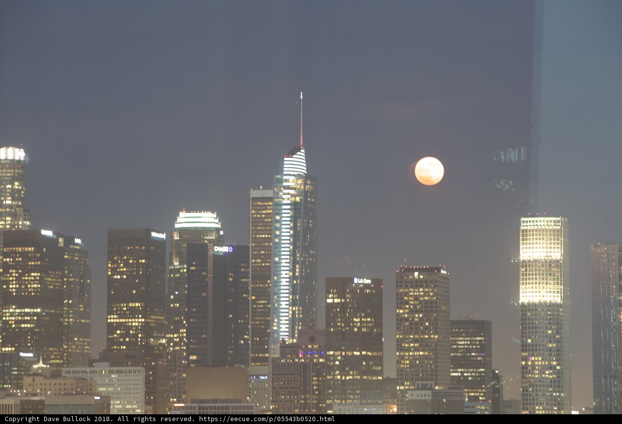 Celestial Night in the City