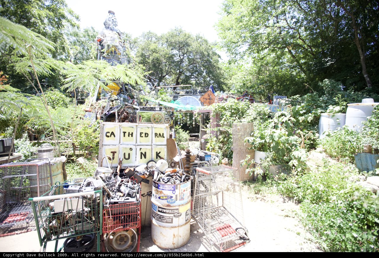 The Overgrown Junk Garden