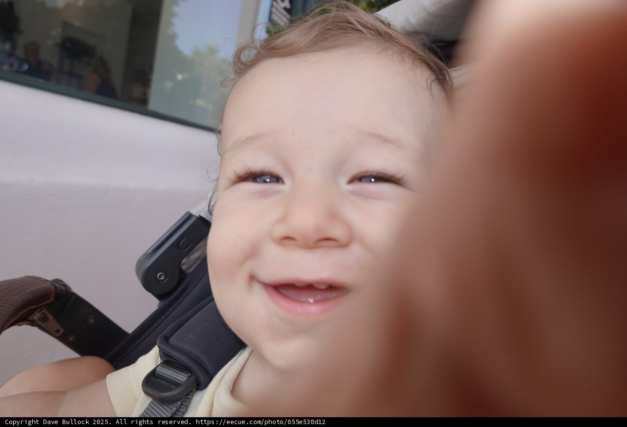 Joyful Moments Captured