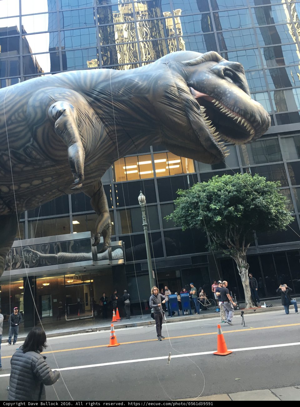 Welcome to T-Rex City