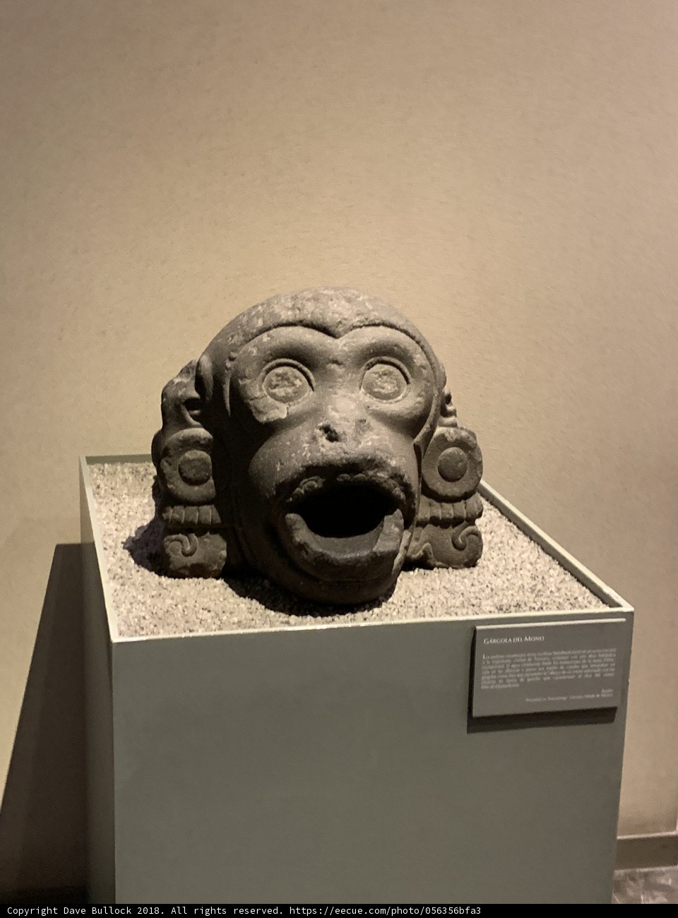 Monkey Head Statue