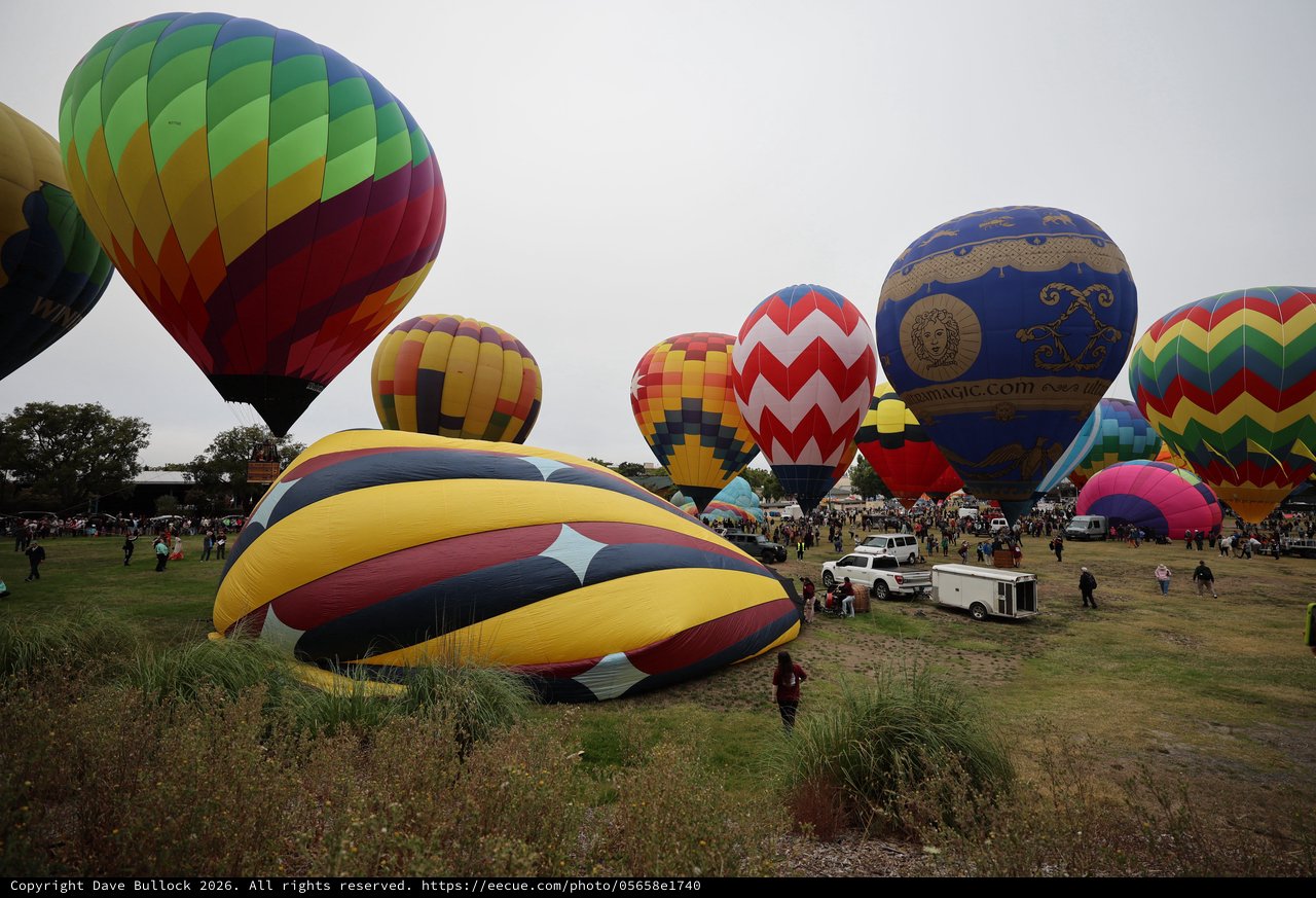 Colorful Hot Air Balloons Fill the Morning Sky