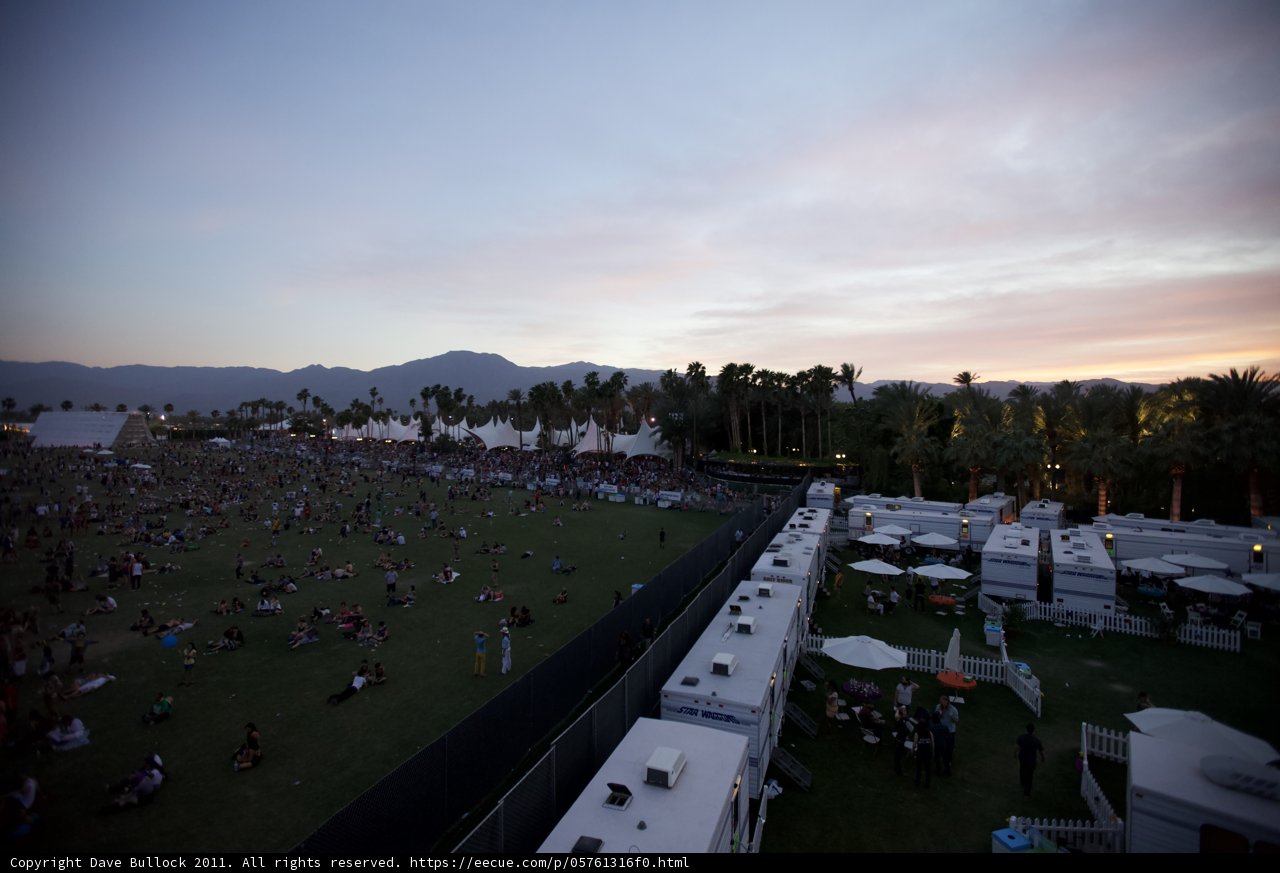 Festival Frenzy in the Desert