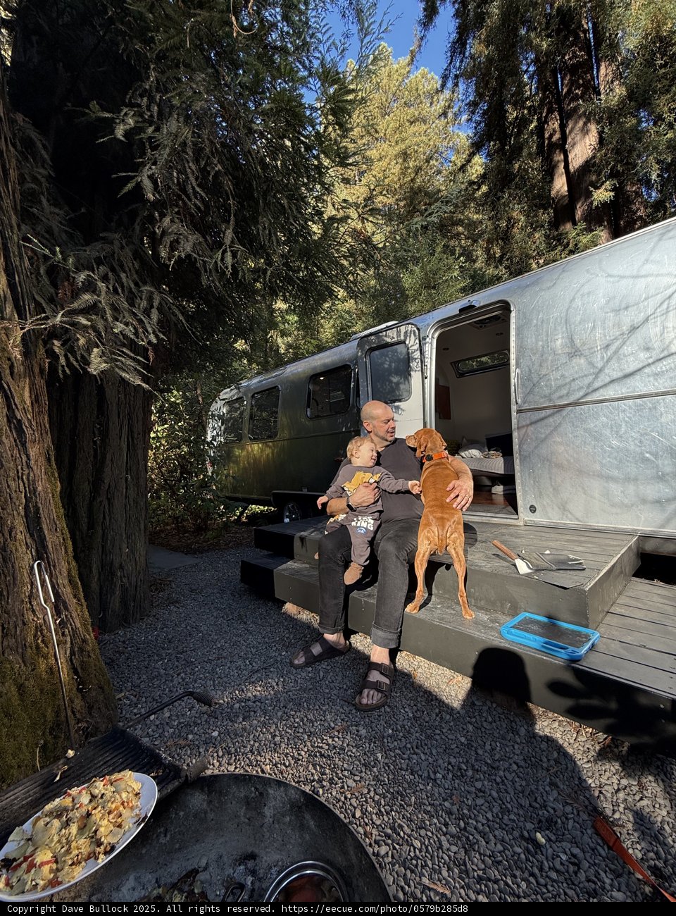 Morning Bliss in the Redwoods