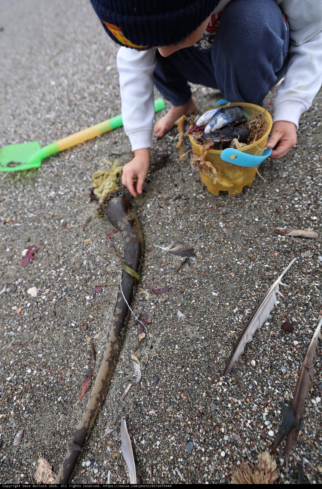 Young Explorer Collecting Beach Treasures at Low Tide