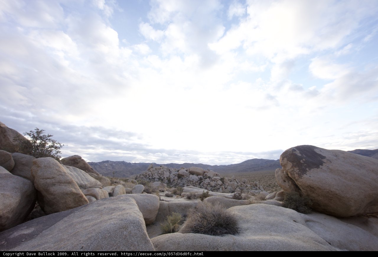 Majestic Landscape of Joshua Tree National Park