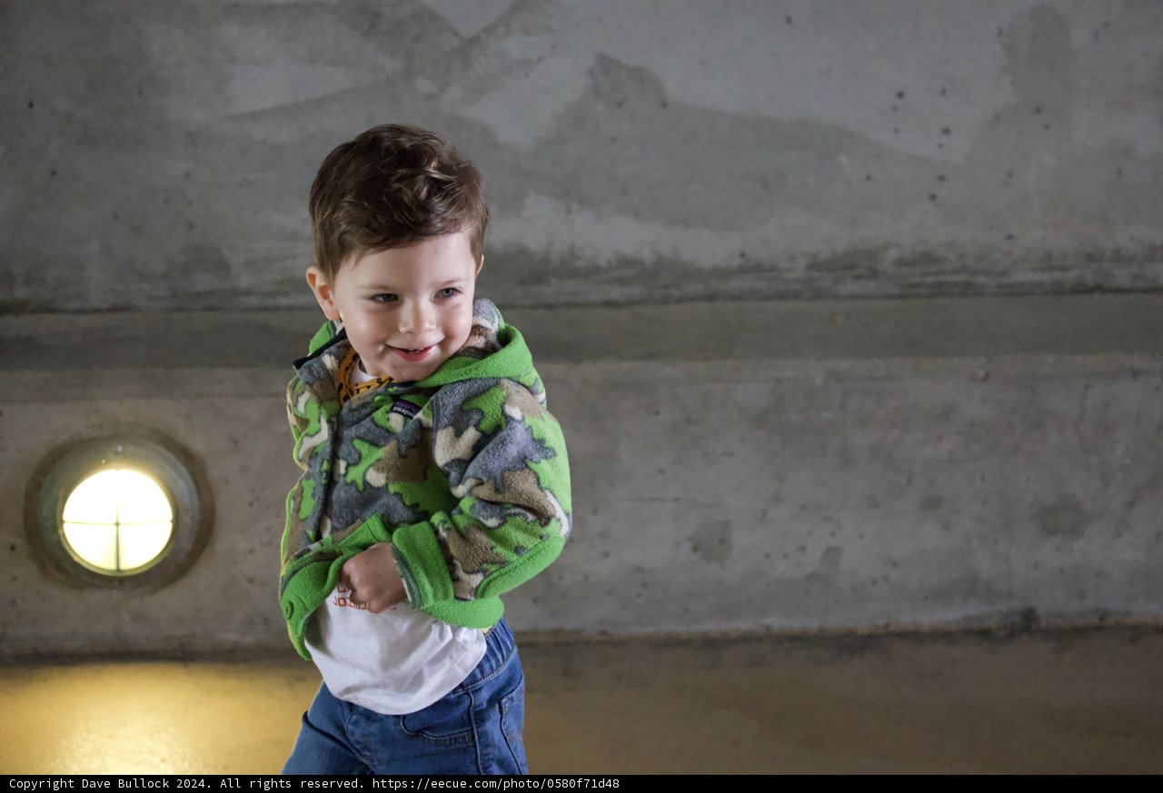 The Boy in Emerald - SF Zoo Journey 2024