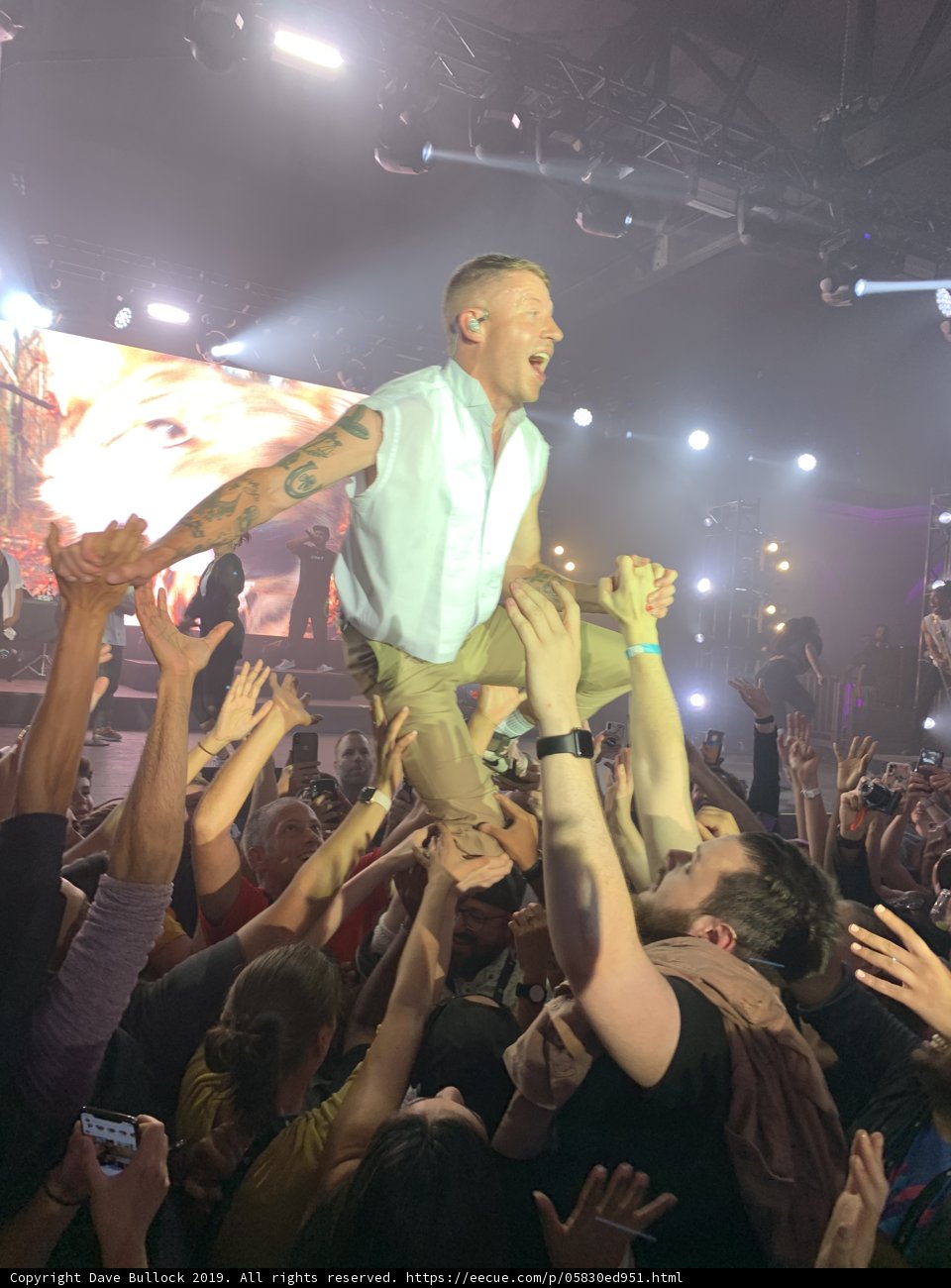 Crowd Surfing at the San Francisco Rock Concert
