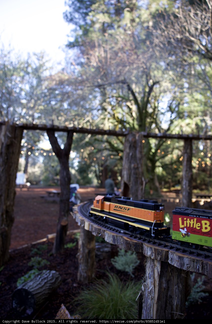 Enchanted Woodland Railway