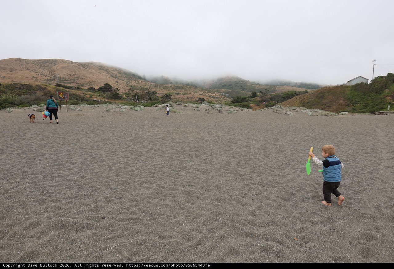 Toddler Explores Gray Sand Beach on Foggy Day