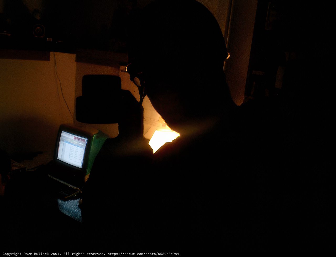 Silhouette at Work