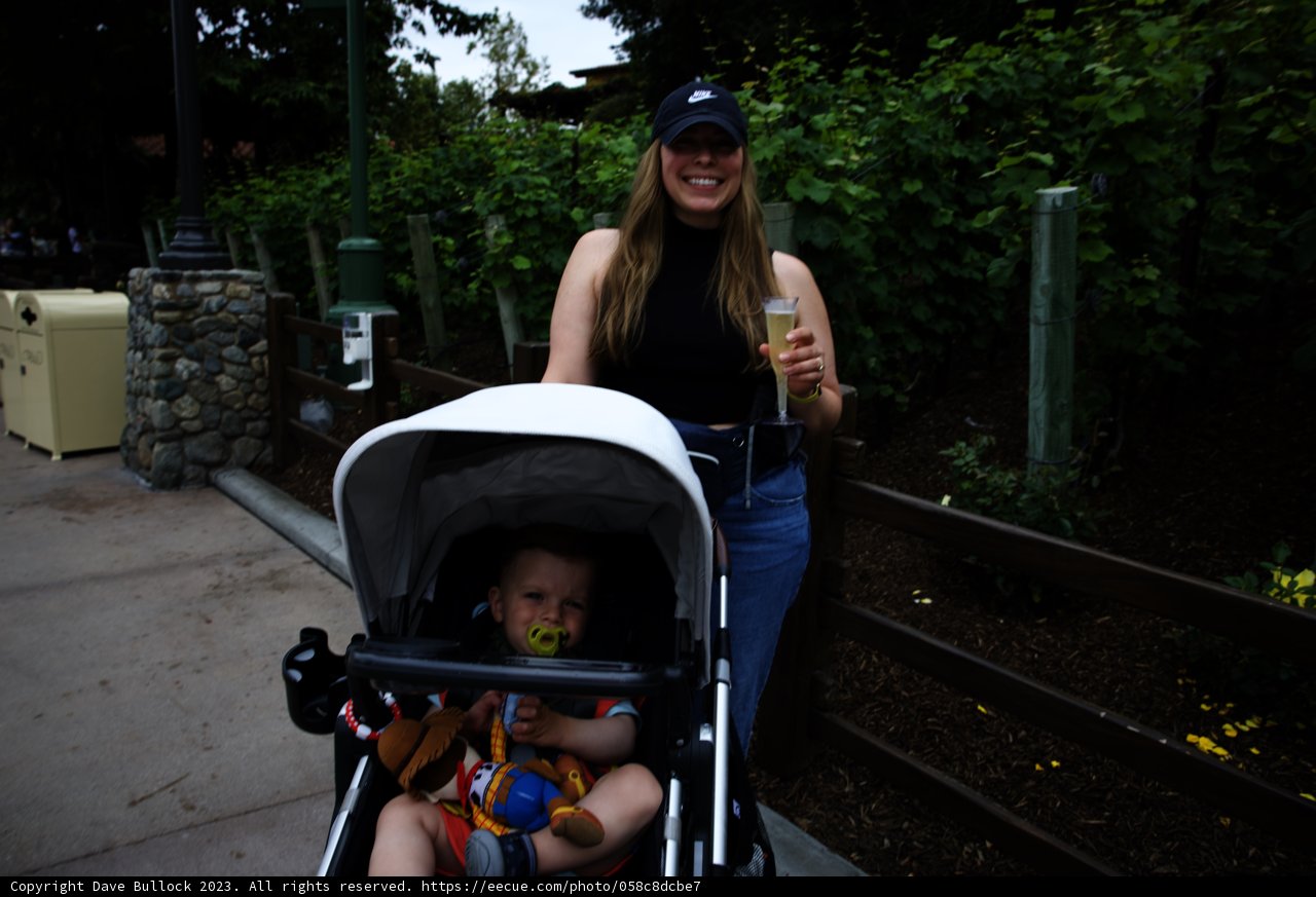 Magical Moments at Disneyland