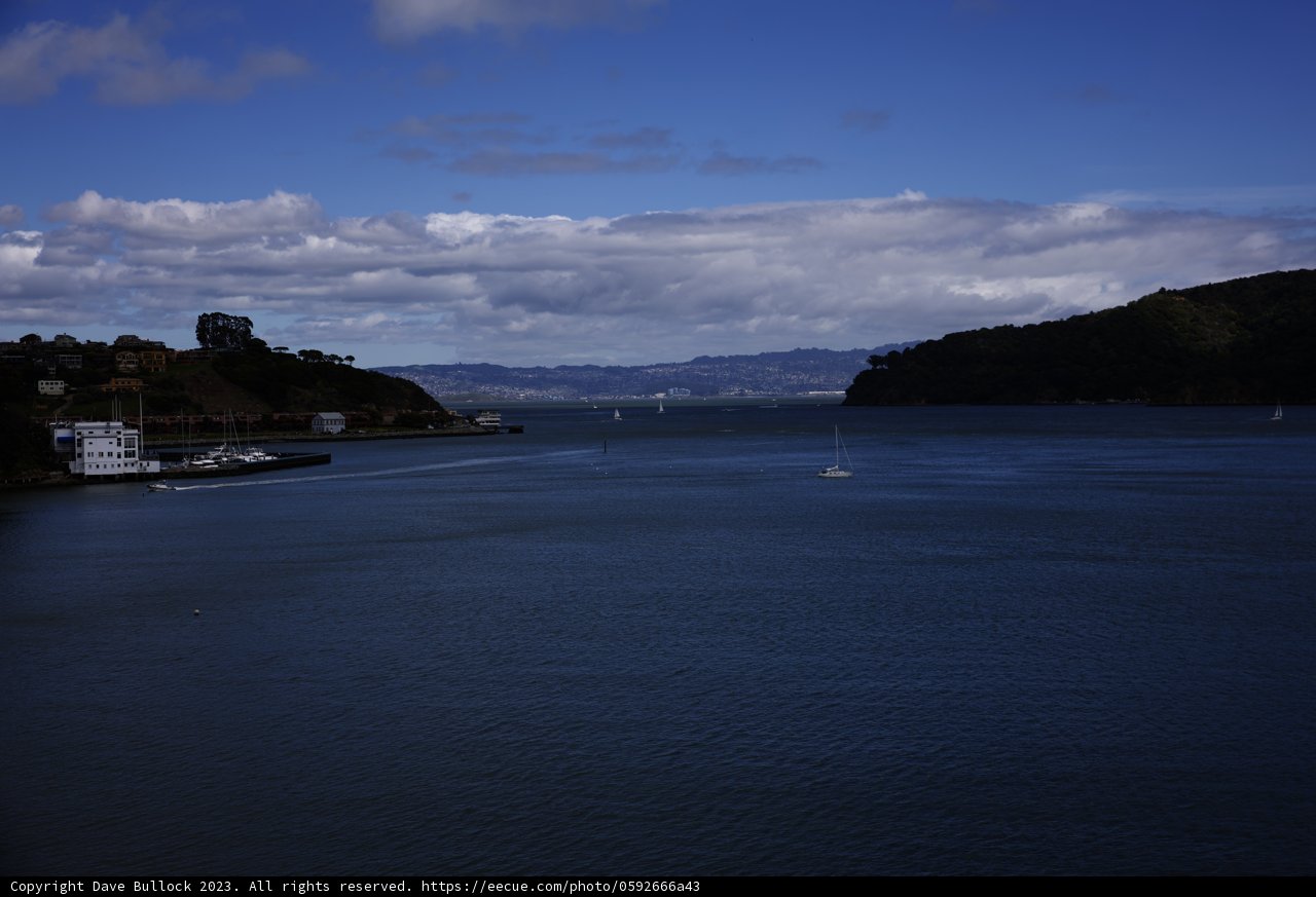 Sailing Adventure in Tiburon