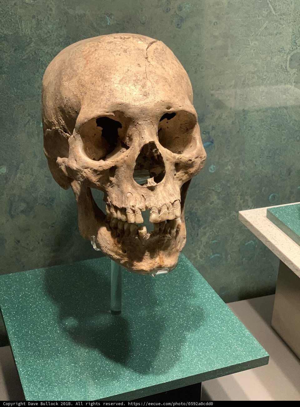 Remains of the Past