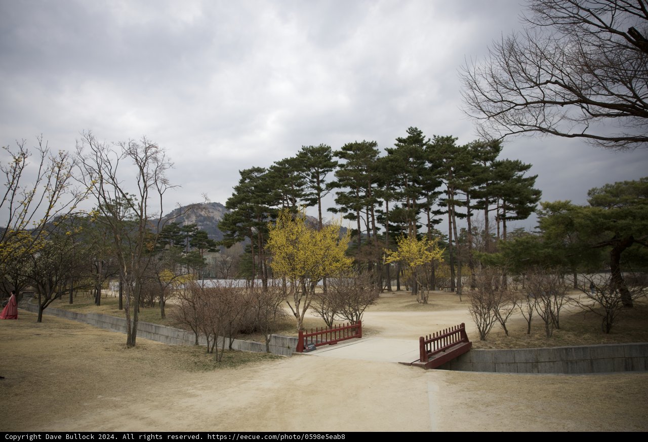 Stroll Through The Serenity: 2024, Korea