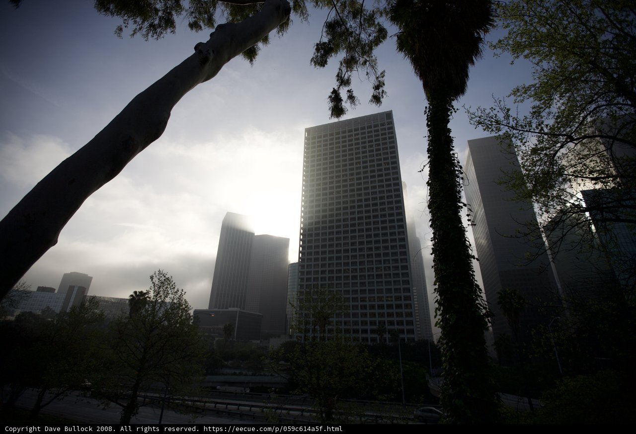 Metropolis Silhouette with Sunlight Shining Through Trees