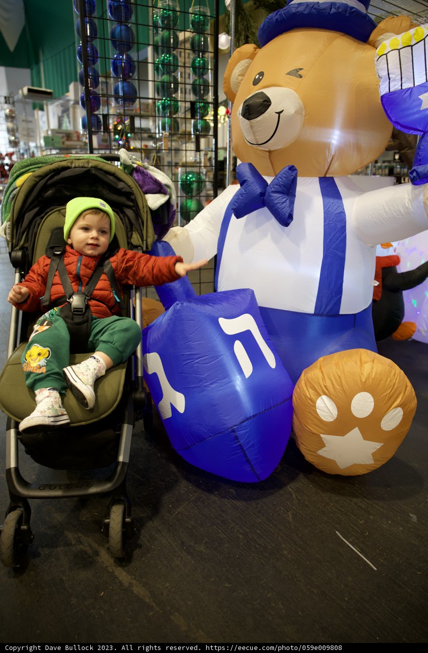 Wesley's Giant Teddy Adventure