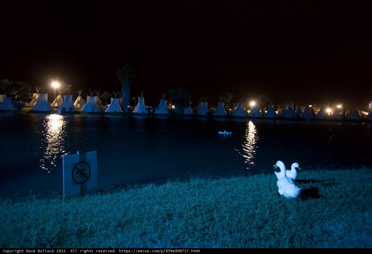 Nighttime Ducks by the Lake