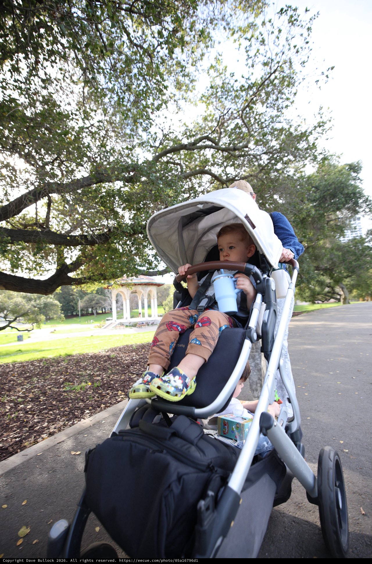 Child in Stroller on Park Path Under Oak Trees
